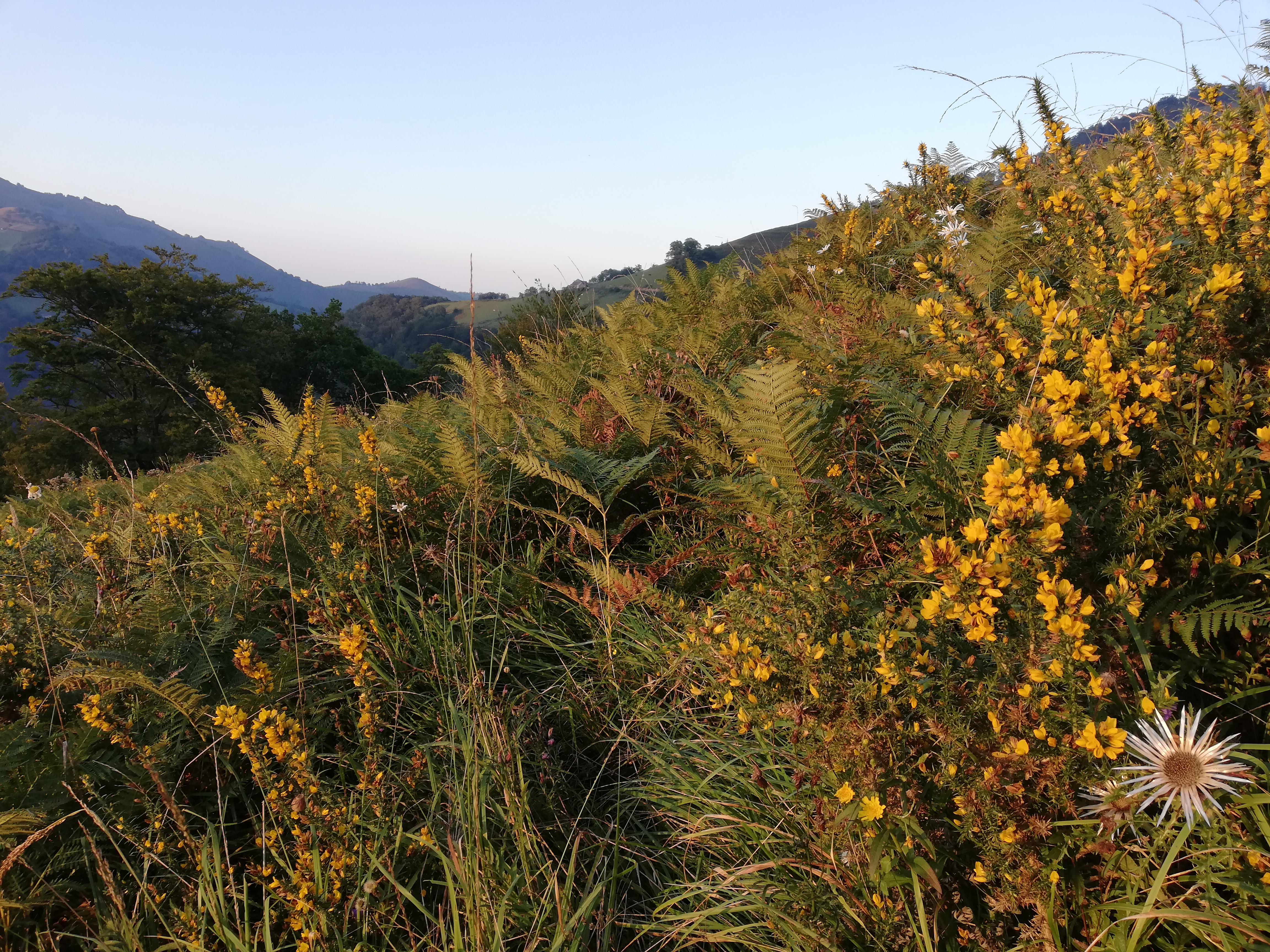 Photo n° 3 de l'avis de Lucie.o fait le 29/09/2018 à 10:06