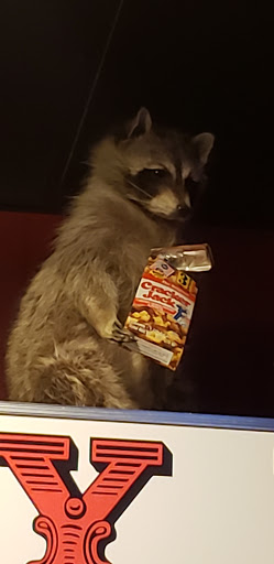 Bar «Oddity Bar», reviews and photos, 500 Greenhill Ave, Wilmington, DE 19805, USA