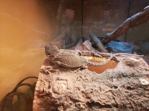 Pet Supply Store «PetSmart», reviews and photos, 901 US-1, North Brunswick Township, NJ 08902, USA