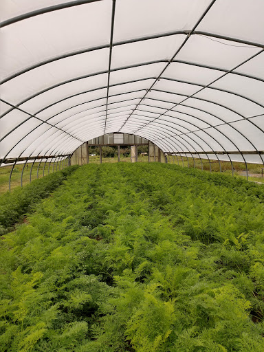 Produce Market «Natura Farms», reviews and photos, 19060 Manning Trail N, Marine on St Croix, MN 55047, USA