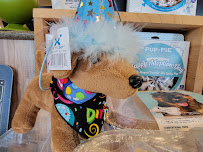 Salem Pet Supply - Photo 7 - Car repair in Salem, OR, Salem