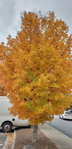 Shopping Mall «Highlands Square Shopping Center», reviews and photos, 250 Highlands Square Dr, Hendersonville, NC 28792, USA