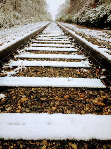 Park «Mather Woods Forest Preserve», reviews and photos, 25032 W Renwick Rd, Plainfield, IL 60544, USA