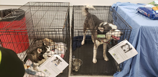 Pet Supply Store «Petco Animal Supplies», reviews and photos, 2965 Hempstead Turnpike, Levittown, NY 11756, USA