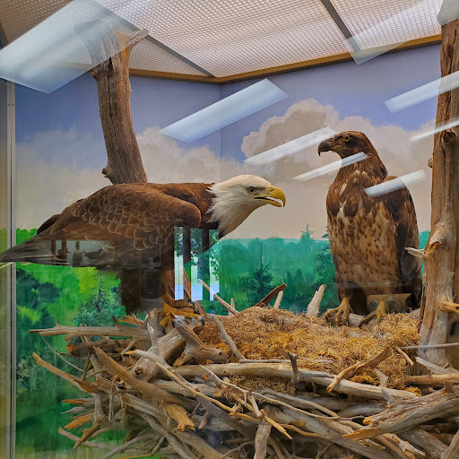 National Reserve «Montezuma National Wildlife Refuge», reviews and photos, 3395 US-20, Seneca Falls, NY 13148, USA