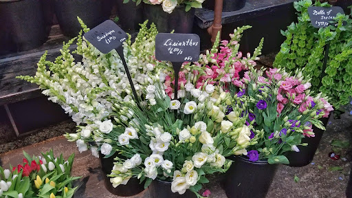 Florist «Bayport Flower Houses, Inc.», reviews and photos, 940 Montauk Hwy, Bayport, NY 11705, USA