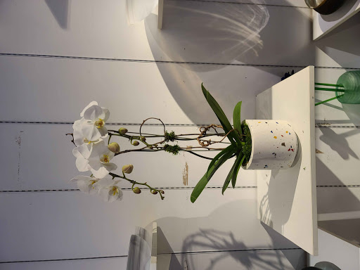 Florist «Mia fiori», reviews and photos, 5840 Legacy Cir D165, Plano, TX 75024, USA