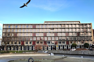 Fakultät für Erziehungswissenschaft, Universität Hamburg (VMP 8)