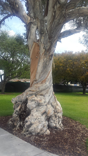 Park «Flamingo Park», reviews and photos, 1200 Meridian Ave, Miami Beach, FL 33139, USA