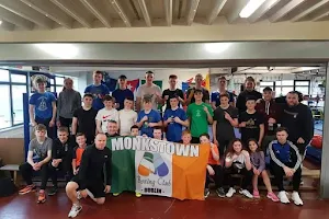 Monkstown (Dublin) Boxing Club image