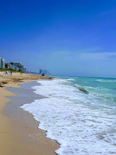 Park «Eighty Seven Park», reviews and photos, 8701 Collins Ave, Miami Beach, FL 33154, USA