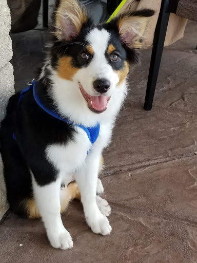 Shopping Mall «College Plaza Shopping Center», reviews and photos, 8595 College Pkwy, Fort Myers, FL 33907, USA