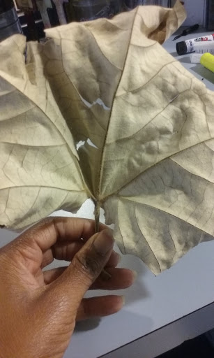 Community Center «Highland Community Center», reviews and photos, 3316 De Soto St, Houston, TX 77091, USA