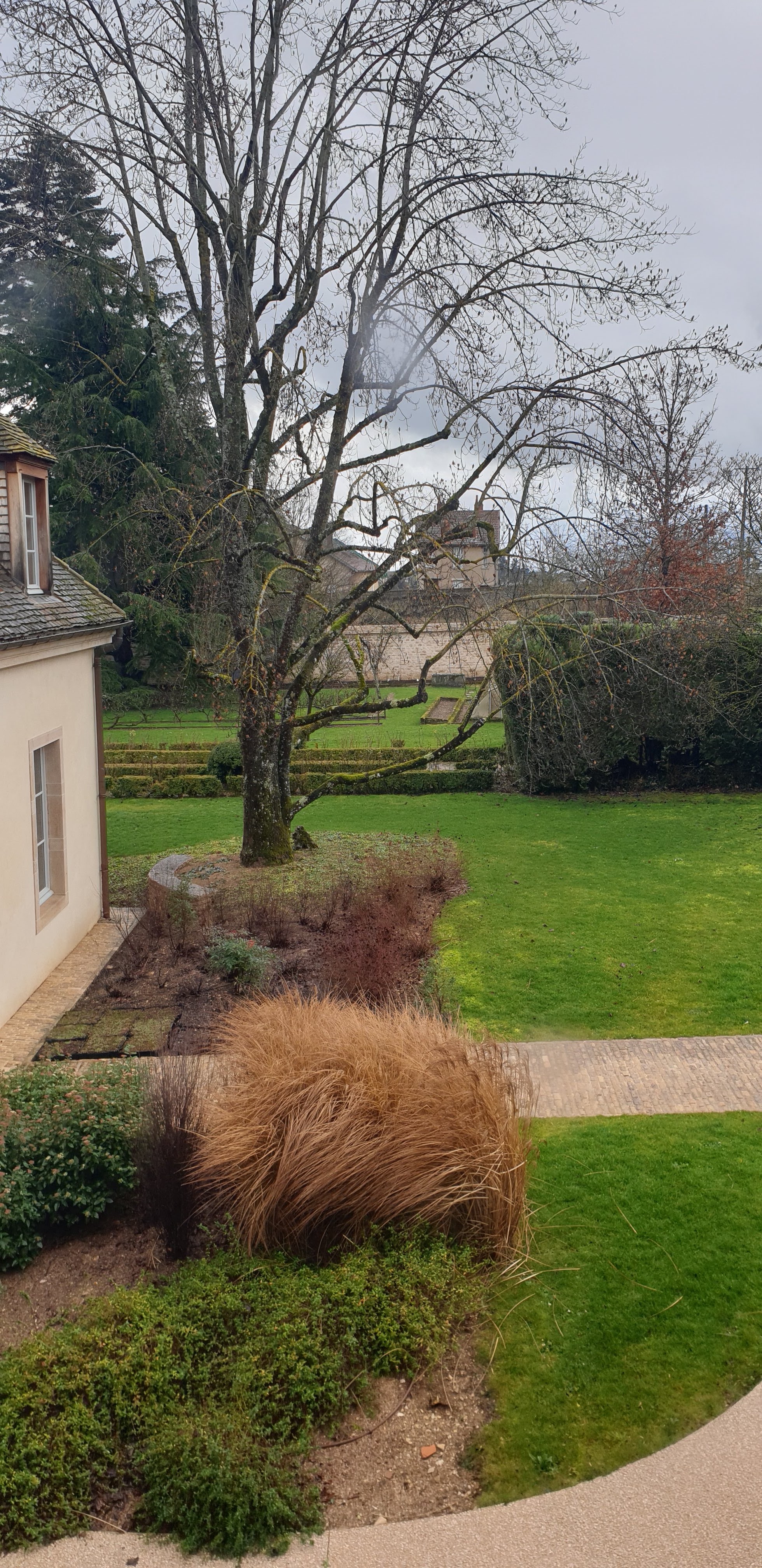 Photo n° 2 de l'avis de Thibaud.o fait le 26/03/2021 à 11:16