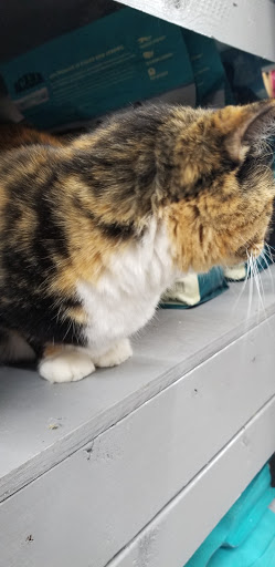 Pet Supply Store «Northside Grange», reviews and photos, 4116 Hamilton Ave, Cincinnati, OH 45223, USA