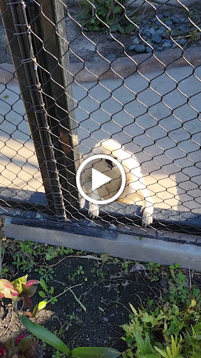 Tennis Club «Westside Tennis & Fitness», reviews and photos, 1200 Wilcrest Dr, Houston, TX 77042, USA