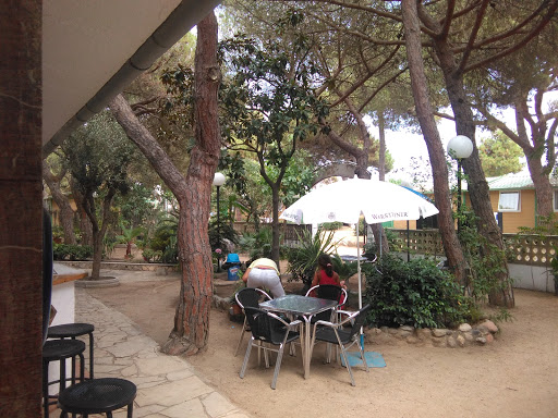 Información y opiniones sobre Restaurant Sis de Santa Susana