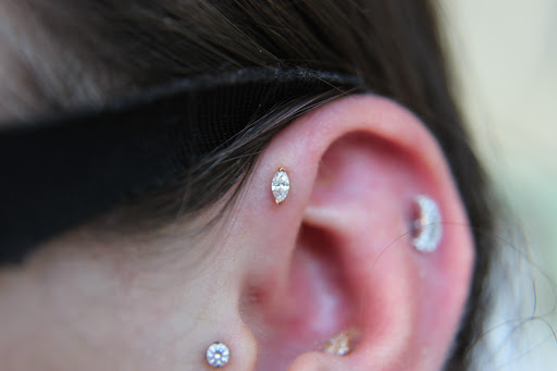 Explore small dragonfly tattoo ideas, creative tattoo ideas in Chicago, available at Fundamental Body Piercing