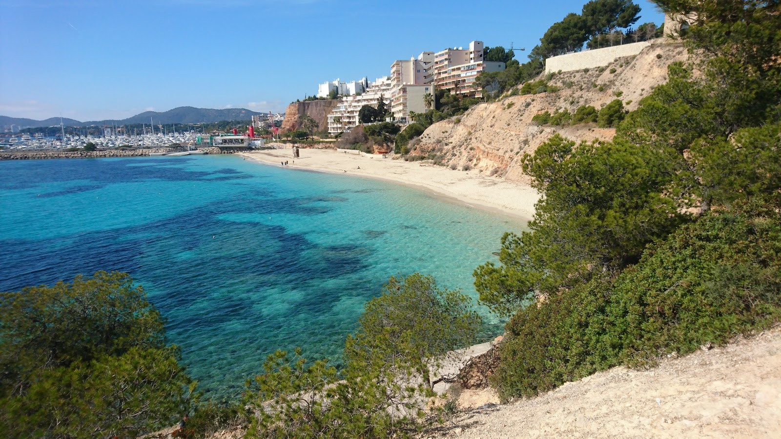 Photo of Platja De S'oratori with very clean level of cleanliness