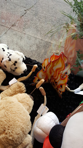 Pet Supply Store «The Dog Store», reviews and photos, 2301 Mt Vernon Ave, Alexandria, VA 22301, USA