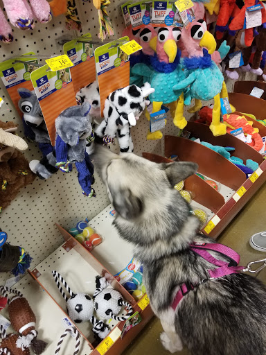 Pet Supply Store «PetSmart», reviews and photos, 3093 E Main St, Russellville, AR 72802, USA