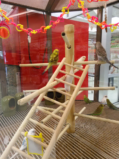 Pet Supply Store «Petco Animal Supplies», reviews and photos, 2131 Pleasant Hill Rd, Duluth, GA 30096, USA