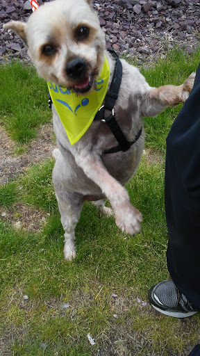 Pet Supply Store «PetSmart», reviews and photos, 1385 S Washington St, North Attleborough, MA 02760, USA