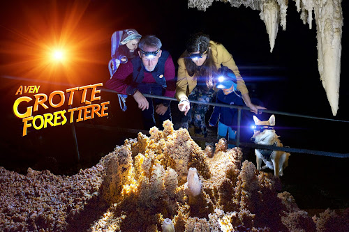 Grotte Aven Forestière : Grotte en Ardèche à Orgnac-l'Aven
