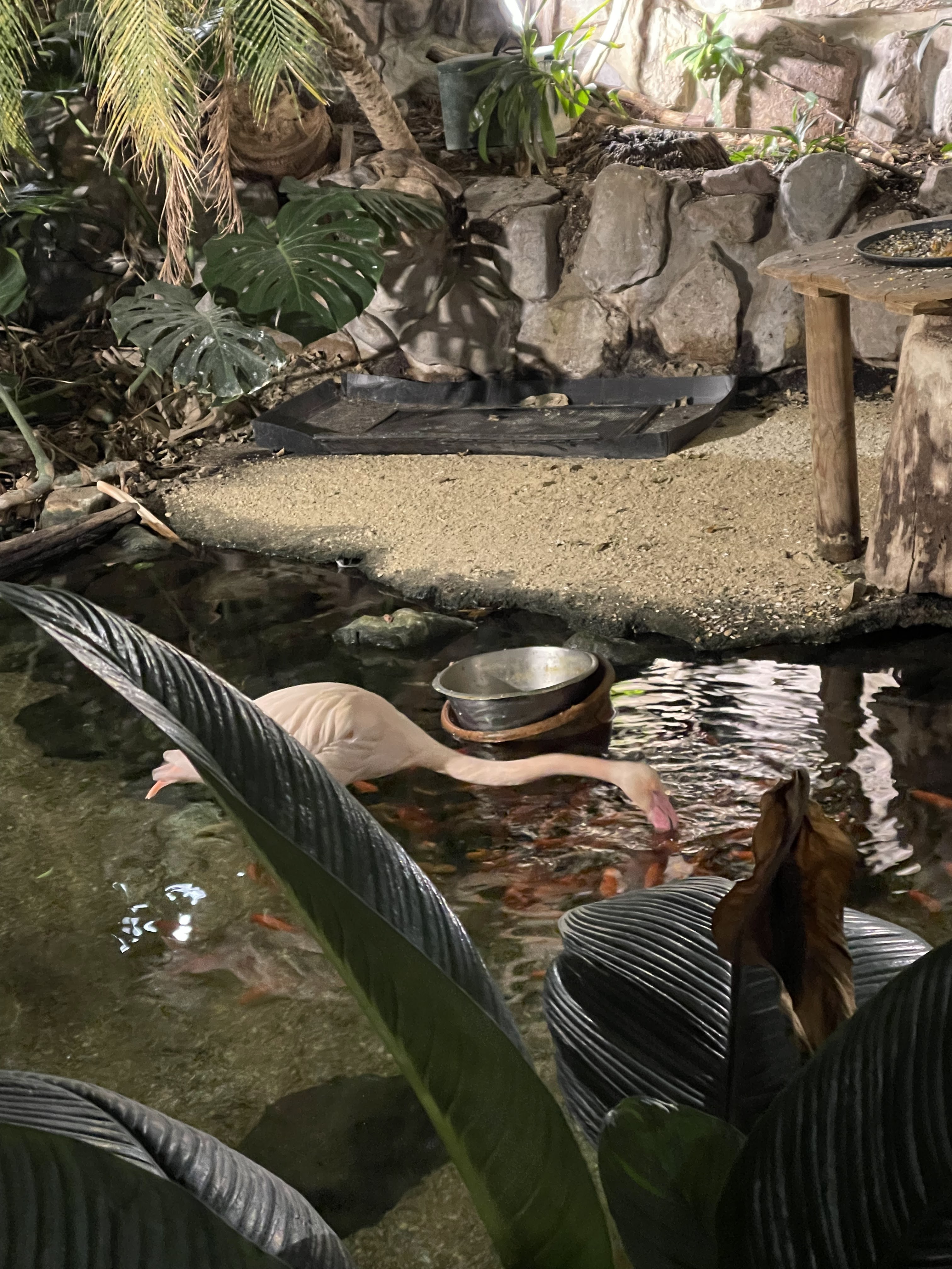 Photo n° 9 de l'avis de Céline. fait le 06/01/2024 à 14:16