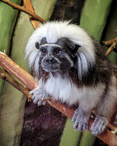 Zoo «Pueblo Zoo», reviews and photos, 3455 Nuckolls Ave, Pueblo, CO 81005, USA