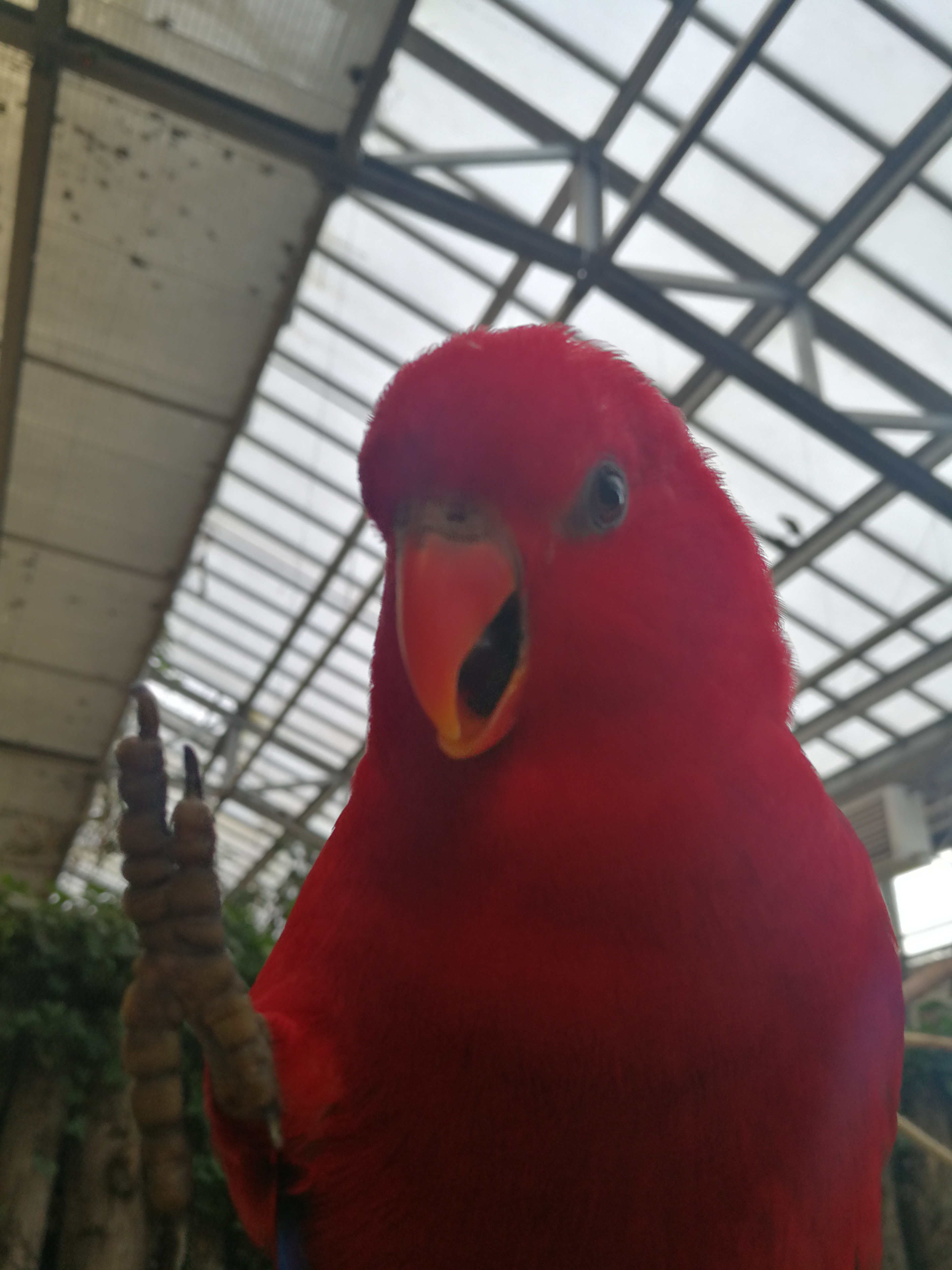 Photo n° 3 de l'avis de Carlito.H fait le 20/06/2018 à 18:07