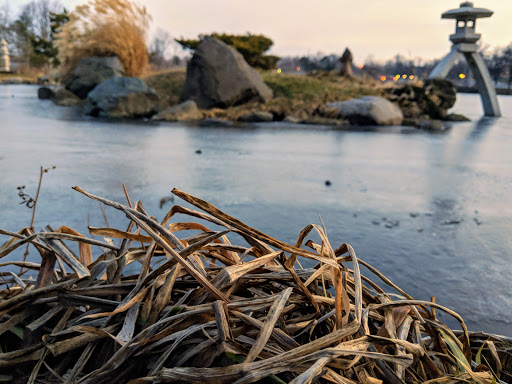 Park «Delaware Park», reviews and photos, Meadow Dr, Buffalo, NY 14214, USA