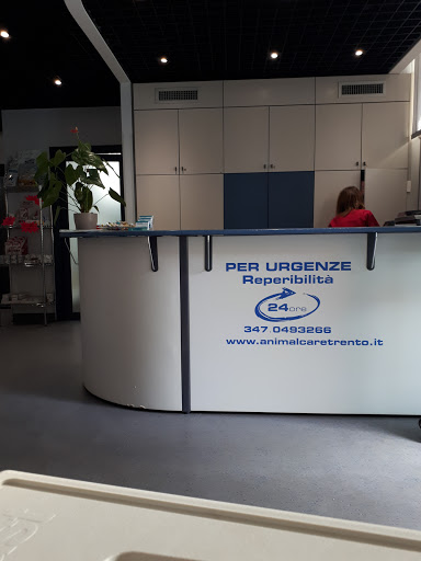 Pensioni per cani e dog hotel a Clinica Veterinaria Animal Care Trento