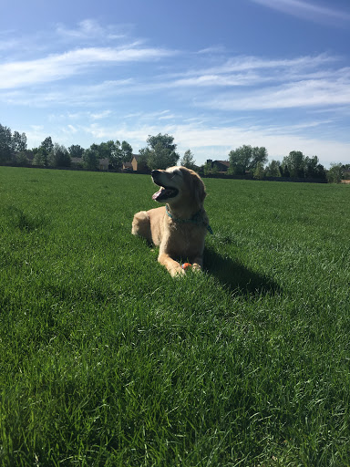 Park «Cheyenne Meadows Park», reviews and photos, 3868 Glenmeadow Dr, Colorado Springs, CO 80906, USA