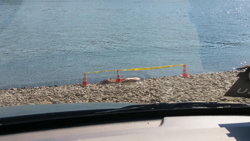 Park «Meldrum Bar Park», reviews and photos, 19 Meldrum Bar Park Rd, Gladstone, OR 97027, USA