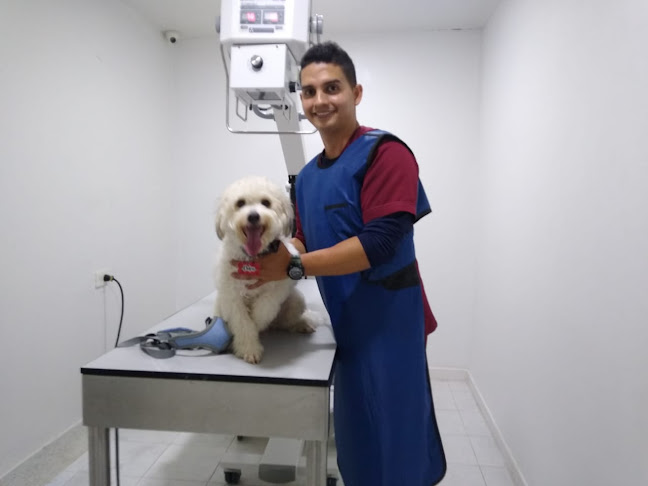 Calificaciones y reseñas de Cedenorte Bucaramanga Institución Técnica