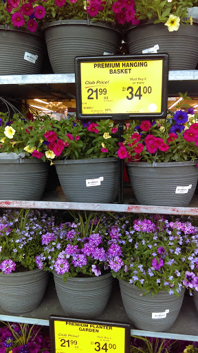 Grocery Store «Safeway», reviews and photos, 437 S King St, Leesburg, VA 20175, USA