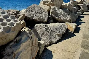Plaža Piran image