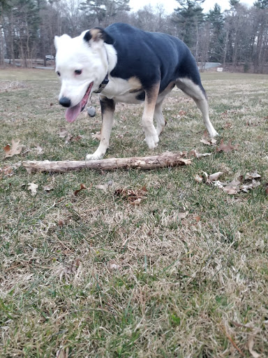 Farm «Pequitside Farm», reviews and photos, 79 Pleasant St, Canton, MA 02021, USA