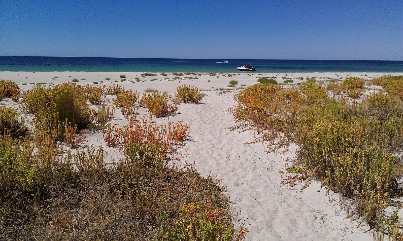 Photo de Wyndham Beach avec rivage droit, long