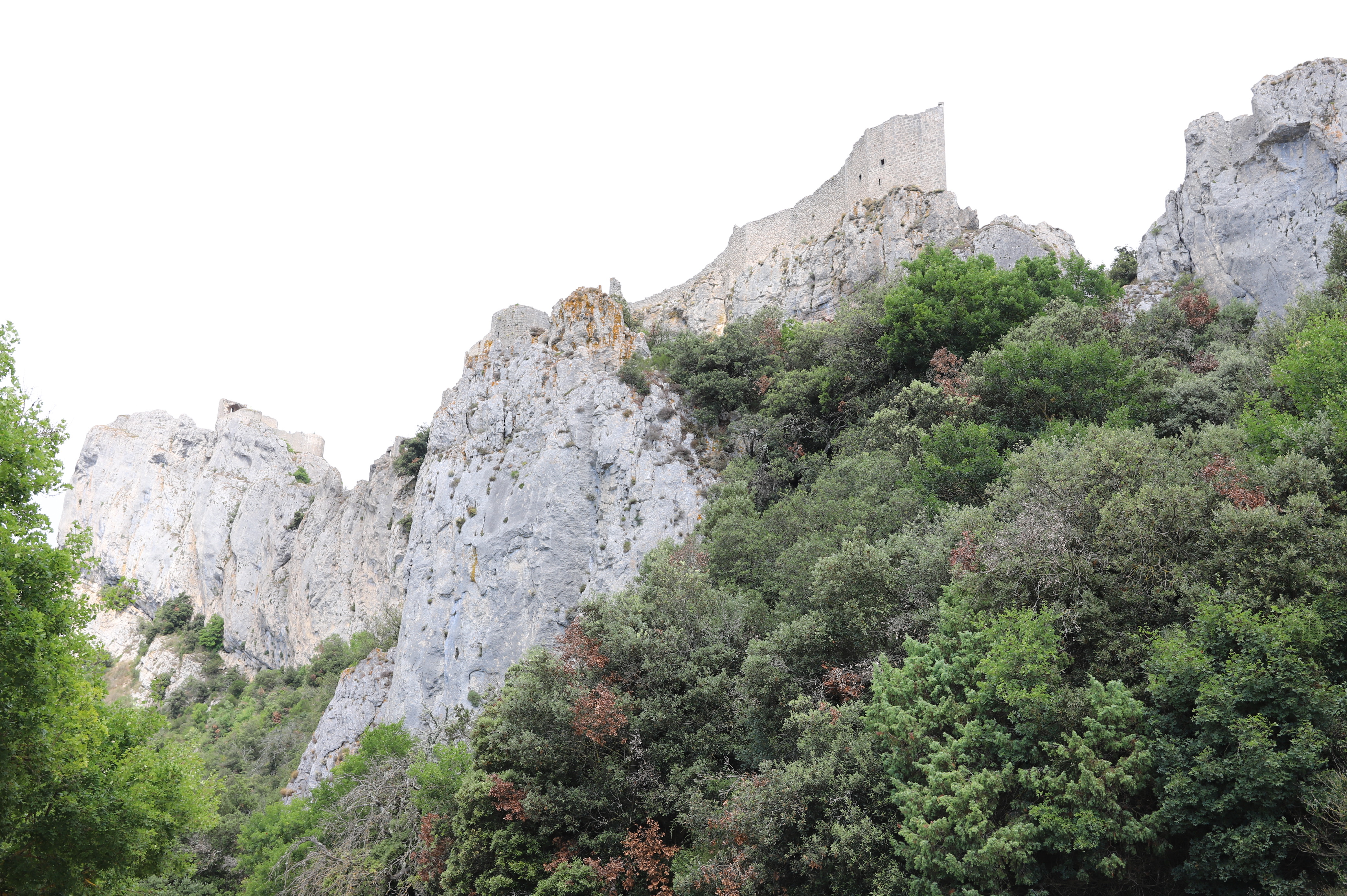 Photo n° 9 de l'avis de Joel.i fait le 04/08/2021 à 11:37