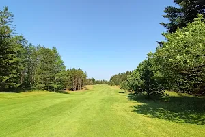 Holstebro Golfklub image