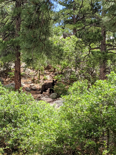 Golf Club «Golf Club At Bear Dance», reviews and photos, 6630 Bear Dance Dr, Larkspur, CO 80118, USA