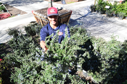 Garden Center «Moon Valley Nurseries West Valley / Avondale», reviews and photos, 11320 W Indian School Rd, Avondale, AZ 85323, USA