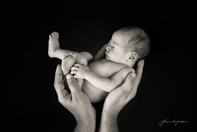 Opinii despre Pui de Poze | Sedinte foto nou nascuti, bebe, gravide si copii | Fotograf de familie in Bucuresti în <nil> - Fotograf