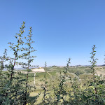 Photo n°2 de l'avis de antonio.o fait le 29/09/2023 à 15:24 sur le  Il Grillo Parlante à Monforte d'Alba