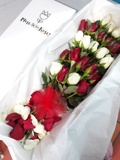 More Than Roses Frontera – Ciudad Frontera