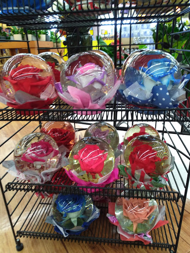 Grocery Store «Winn-Dixie», reviews and photos, 4512 FL-20, Niceville, FL 32578, USA