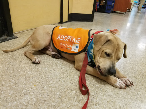 Pet Supply Store Â«PetSmartÂ», reviews and photos, 2101 Elmwood Ave