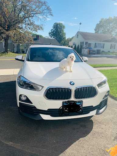 Used Car Dealer «Wiz Autos», reviews and photos, 250 Ferry Blvd, Stratford, CT 06615, USA